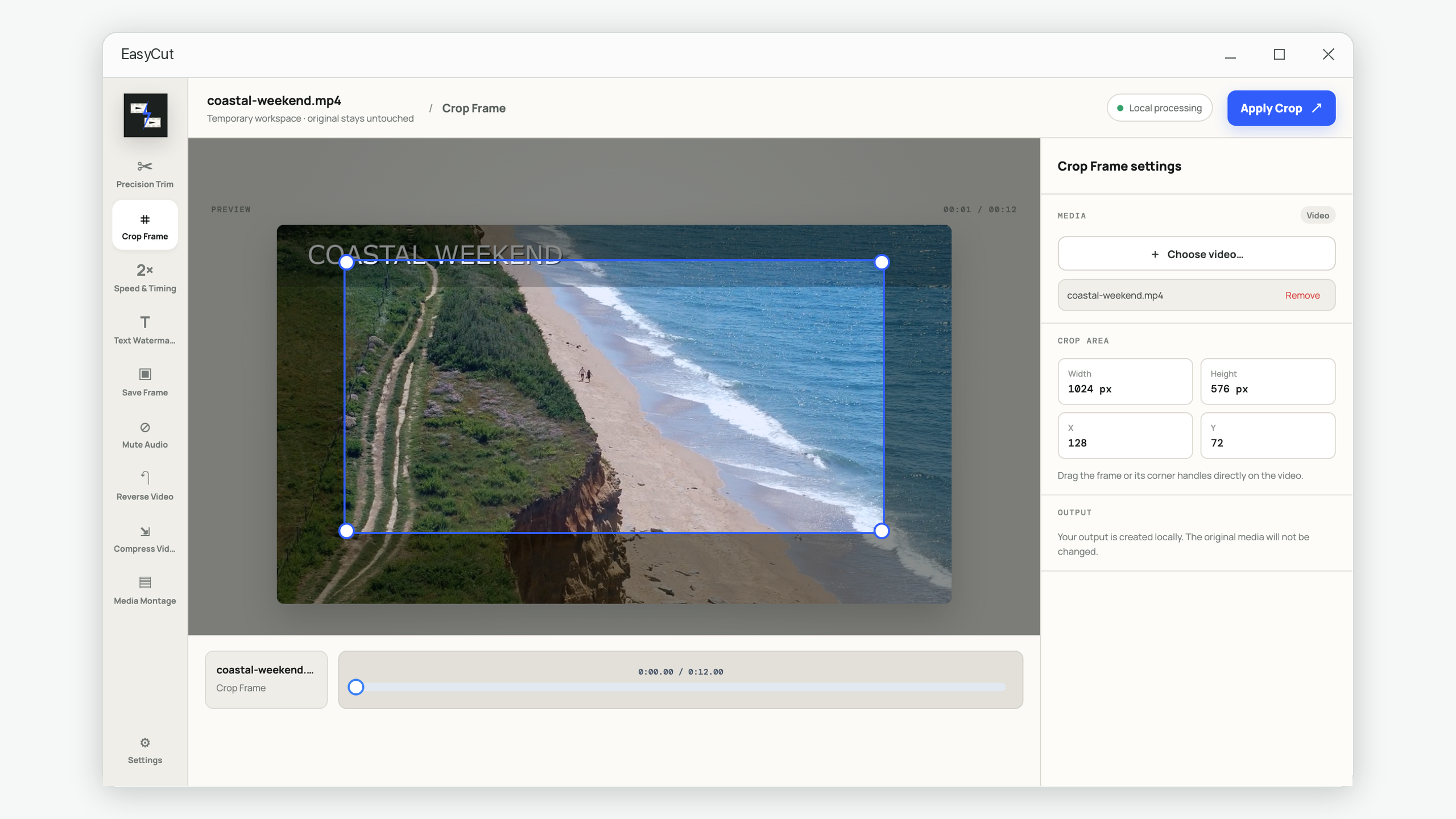 EasyCut Crop Frame tool with a draggable crop rectangle over a video